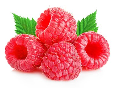 Olgun Ahududu yaprakları yakın çekim beyaz bir arka plan üzerinde izole ile