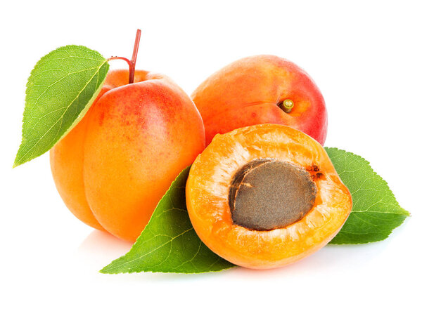 Apricots with leaves close-up isolated on a white background.