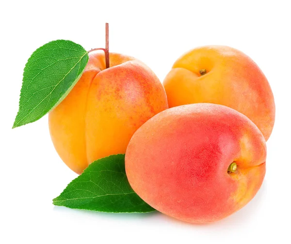 Abricots Frais Avec Feuilles Gros Plan Isolés Sur Fond Blanc — Photo