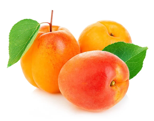Fresh Apricots Leaves Close Isolated White Background — Stock Photo, Image