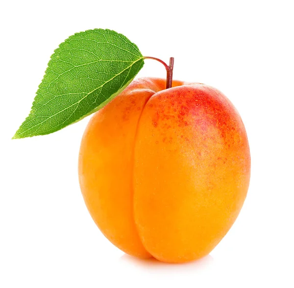 在白色背景上隔离的与叶子特写的成熟杏 — 图库照片