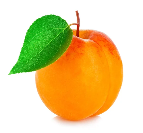 Ripe Apricot Leaf Close Isolated White Background — Stock Photo, Image