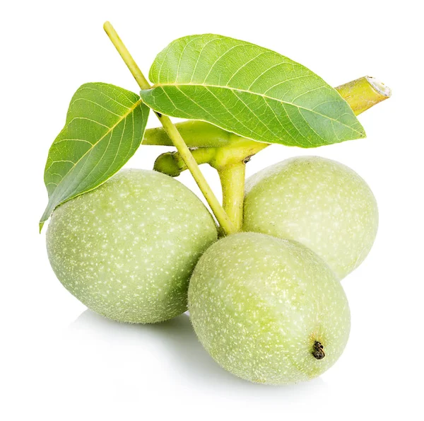 Walnuts Green Close Isolated White Background — Stock Photo, Image
