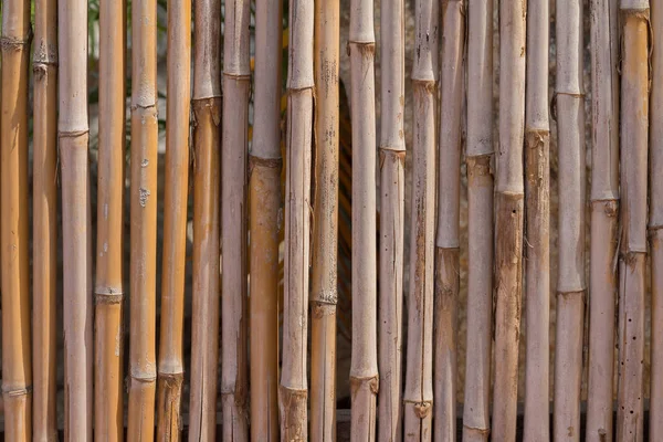 Abstraktní bambus textury pozadí — Stock fotografie