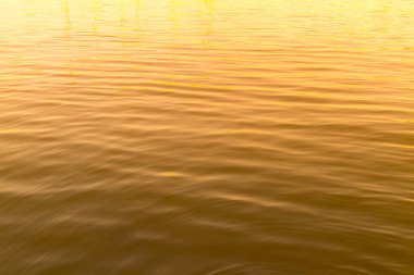 Su dalgası dayalı sıvı dalga sarı renk soyut arka plan