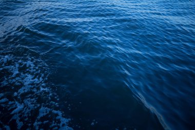 Su dalgası dayalı sıvı dalga mavi renk soyut arka plan