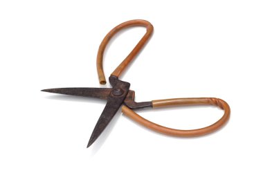  Paslı makas beyaz arkaplanda izole edildi