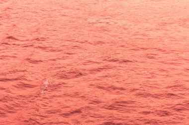 su dalgasına dayalı sıvı dalganın renk soyut arka planı