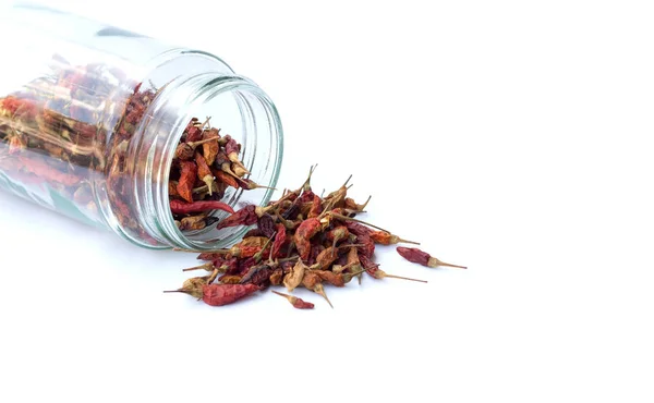 Dried red chilly isolated on white background for spicy taste — Stock Photo, Image