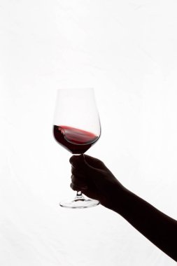 Bir kadeh kırmızı şarap tutan el.