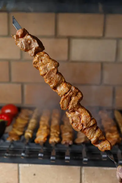 Verschiedene Grillspieße auf dem Hintergrund des Grills — Stockfoto