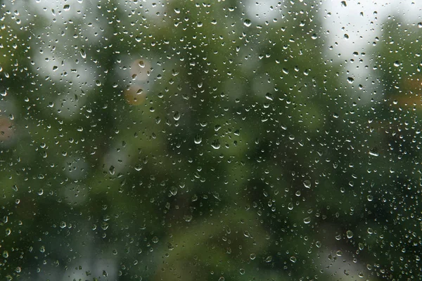 Water droplets on glass, selective focus — Stock Photo, Image
