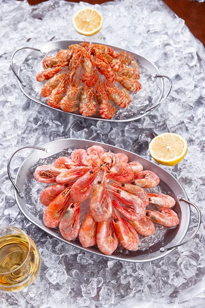 Shrimp in a plate on ice — Stock Photo, Image