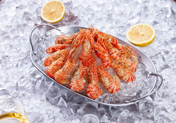 Krevety v talíři na ledu — Stock fotografie