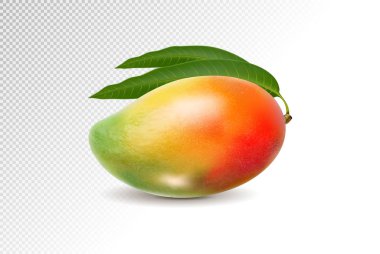 3D gerçekçi turuncu kırmızı yeşil mango şeffaf arka plan, kafes vektör çizim üzerinde.