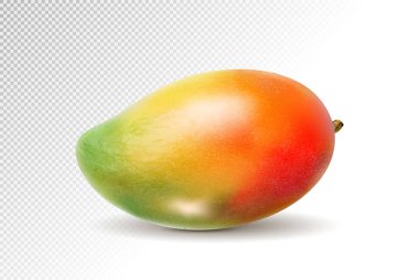 3D gerçekçi turuncu kırmızı yeşil mango şeffaf arka plan, kafes vektör çizim üzerinde.