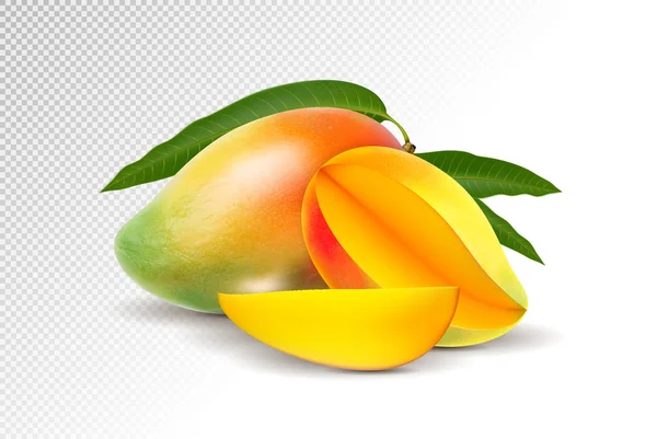 Свежий манго с ломтиком изолированы на белом фоне. Векторная 3D иллюстрация — стоковый вектор