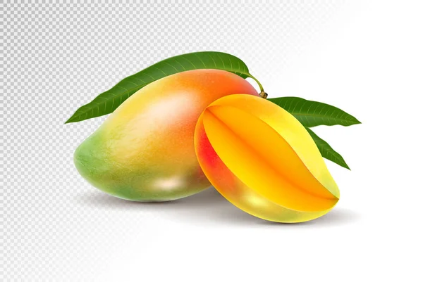 Dos frutas frescas de mango realistas sobre un fondo transparente — Vector de stock