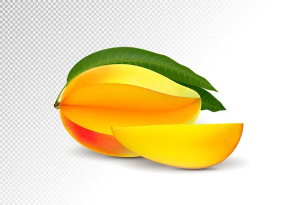 Ilustracja wektorowa fotorealistycznych. Mango z plastrami liść i mango. — Wektor stockowy