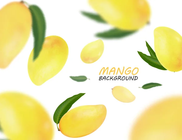 Falling mangoes fruit isolated on white background. Vector 3d illustration — Stock Vector