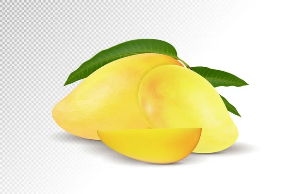 Färsk Mango med skiva isolerade på vit bakgrund. Vektor 3d illustration — Stock vektor