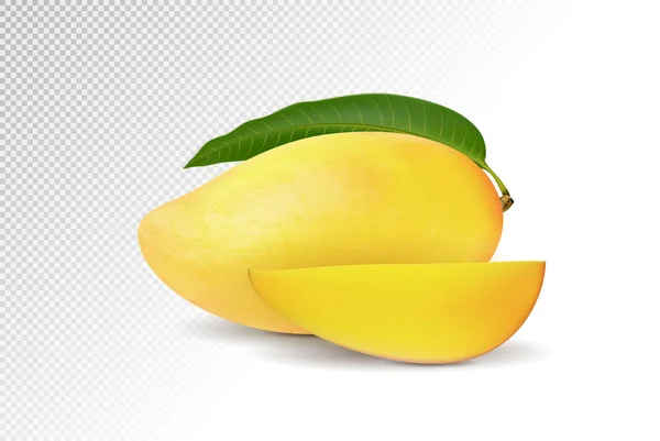 Foto-gerçekçi vektör çizim. Yaprak ve mango dilimleri ile Mango. — Stok Vektör