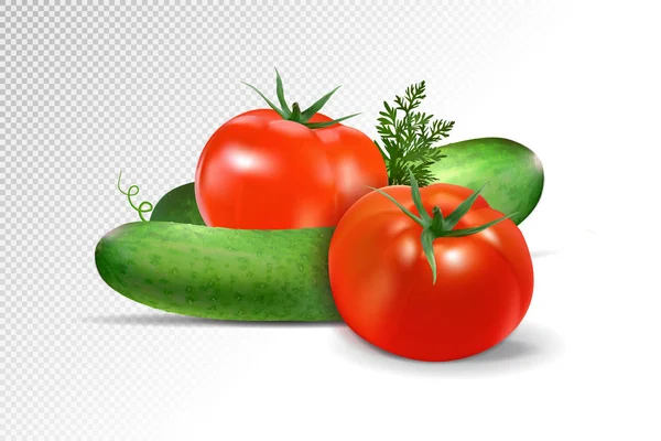 Composizione di cetrioli e pomodori su sfondo trasparente. Vettore realistico, illustrazione 3d — Vettoriale Stock