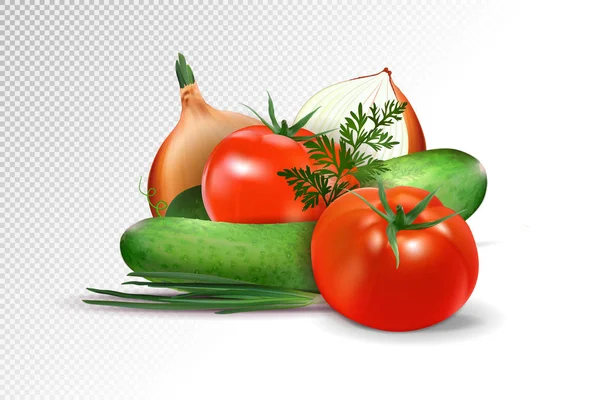 Vegetables - tomato, a cucumber and onions it is isolated on a transparent background. Realistic vector, 3d illustration — Stock Vector