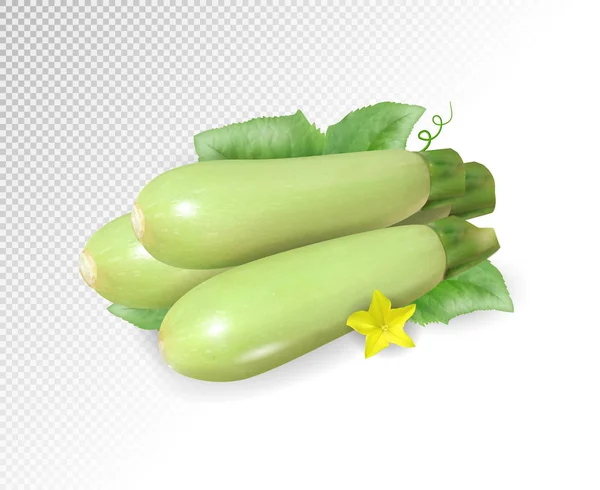 用绿叶和花装饰的新鲜蔬菜骨髓 透明背景上的逼真矢量 — 图库矢量图片