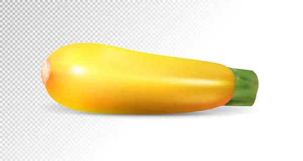 Gul Zucchini Grönsak Realistisk Vektor Transparent Bakgrund Illustration — Stock vektor