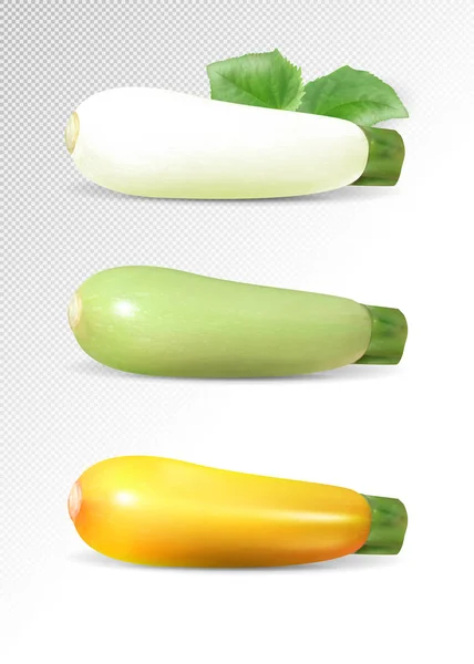 Ensemble Courgettes Vert Blanc Jaune Vecteur Réaliste Sur Fond Transparent — Image vectorielle