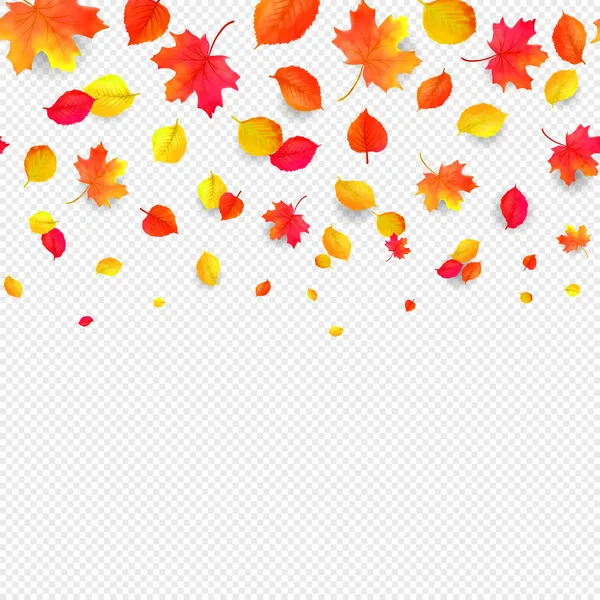 Vzor Bezešvé Hranice Klesající Podzimní Listy Vektor — Stockový vektor