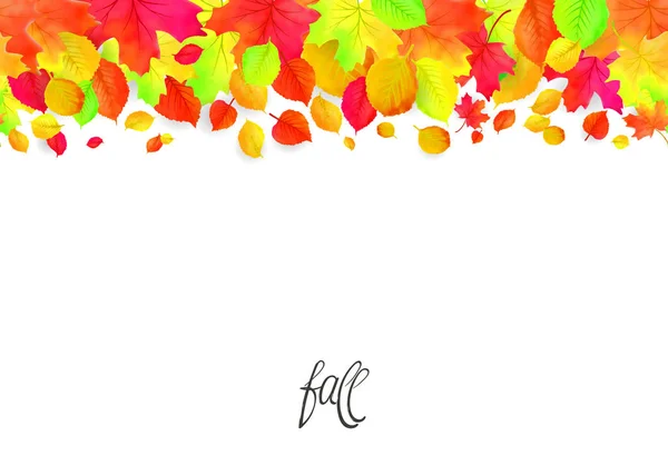 秋天落叶的无缝边界格局 — 图库矢量图片