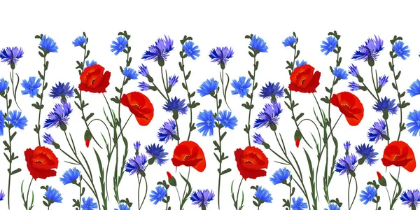 Nahtlose Felge Rand Mit Kräutern Und Wildblumen Blätter Botanische Illustration — Stockvektor