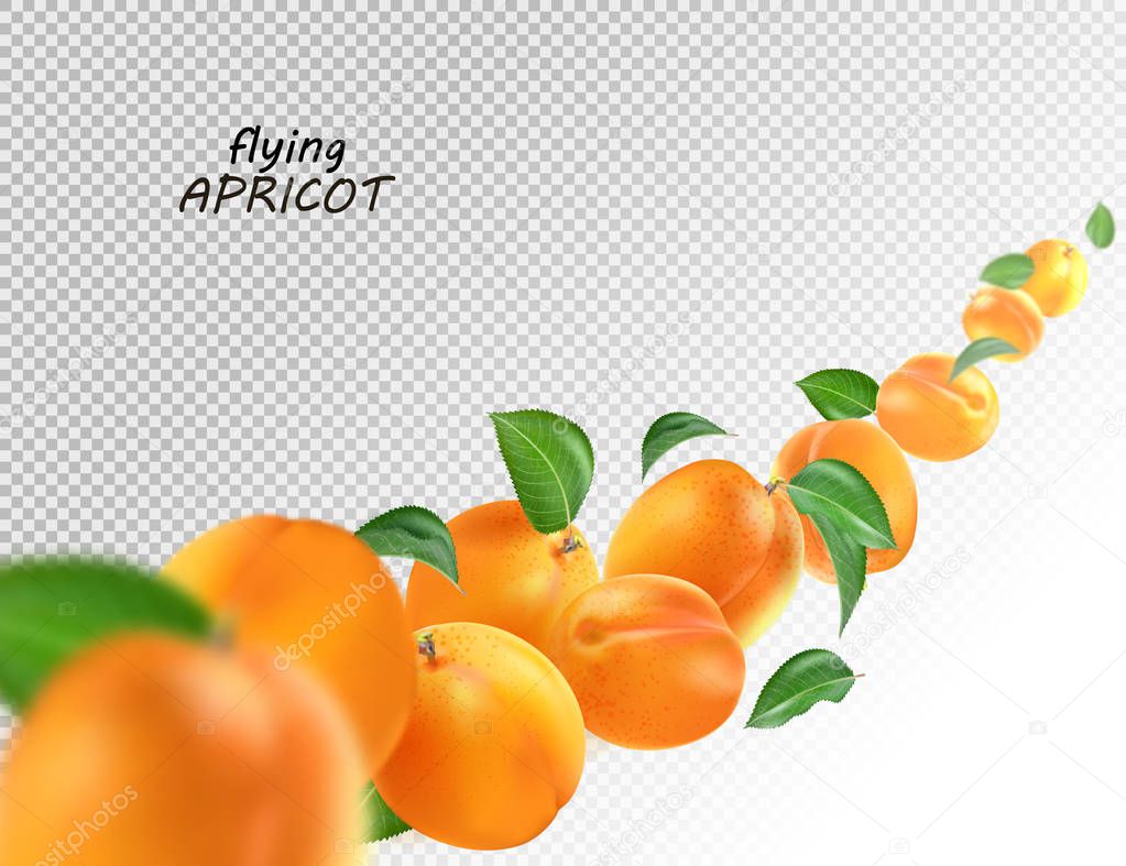 Flying apricots and leaves on transparent background. Whole falling isolated apricot. Realistic vector, 3d illustration