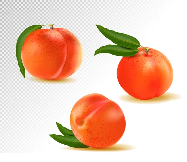 Peach Sweet Fruit Vector Icons Set Realistic Illustration Transparent Background — Stock Vector