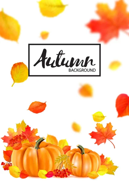 橙色秋季南瓜和叶子的背景 — 图库矢量图片