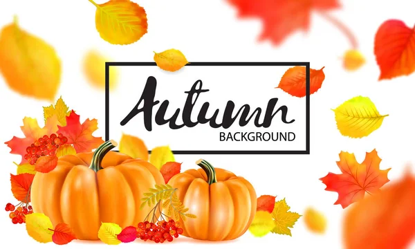 Hintergrund Orangefarbene Herbstkürbisse Und Blätter Vektor — Stockvektor