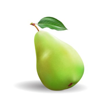 Armut gerçekçi. Yeşil armut, kum torbası, yumruk topu, punchbag, punchball. 3D çizim