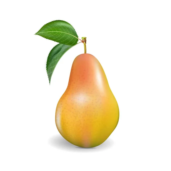 Pear Realistisch Peer Bokszak Ponsen Bal Bokszak Boksbal Illustrattion — Stockfoto