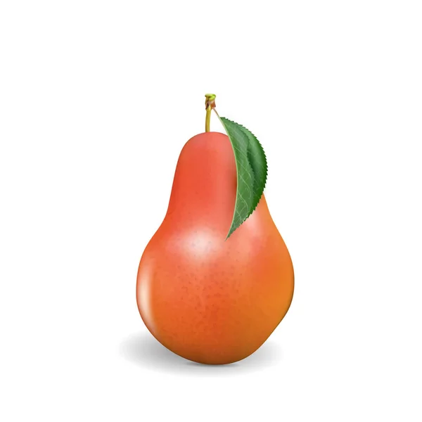 Pear Realistic Red Pear Punching Bag Punching Ball Punchbag Punchball — Stock Photo, Image