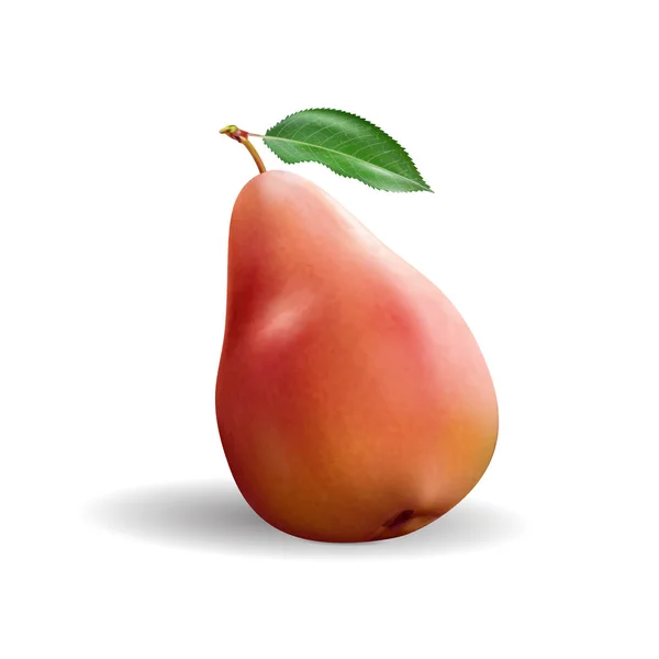 Pear Realistiska Red Pear Boxningssäck Stansning Boll Boxningssäck Punchball Illustration — Stockfoto