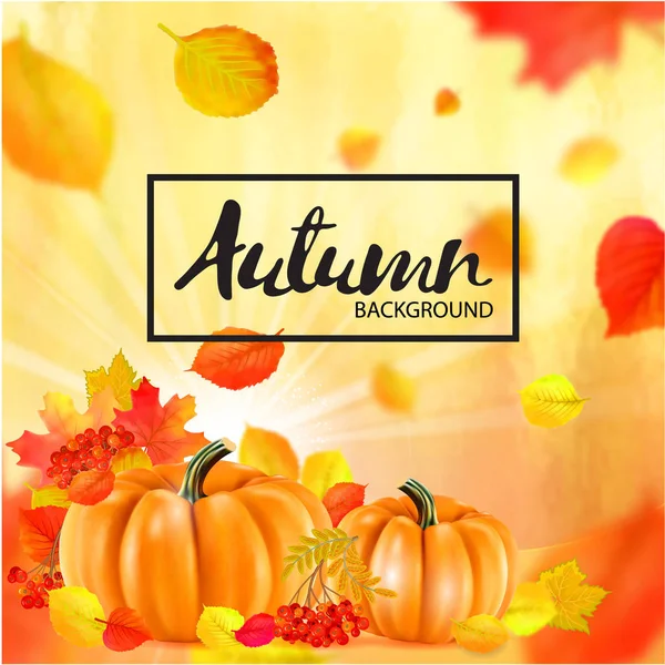 橙色秋季南瓜和叶子的背景 — 图库矢量图片