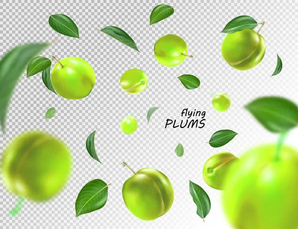 Fliegende Grüne Pflaumen Auf Transparentem Hintergrund Realistischer Qualitätsvektor Eps10 Illustration — Stockvektor