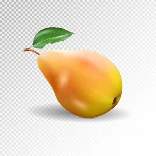 Pear Realistic Vector 10Eps Pear Punching Bag Punching Ball Punchbag — Stock Vector