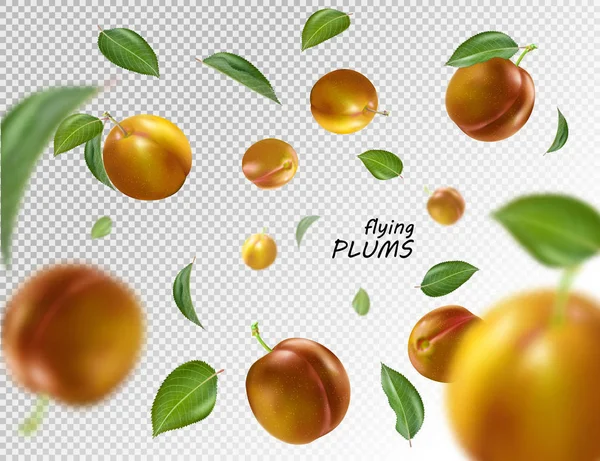 Fliegende Orangefarbene Pflaumen Auf Transparentem Hintergrund Realistischer Qualitätsvektor Eps10 Illustration — Stockvektor