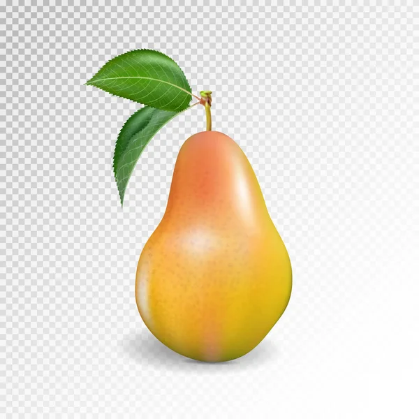 Pear Realistis Vektor 10Eps Pear Punching Bag Punching Ball Punchbag - Stok Vektor