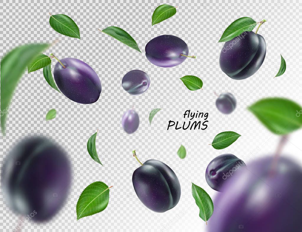 Flying blue plums on transparent background. Realistic quality vector. Eps10. 3d illustration