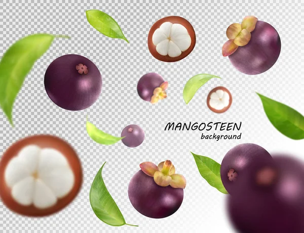 Летающие Мангостины Фон Mangosteen Прозрачный Фон Вектор Иллюстрация Плоды Падают — стоковый вектор