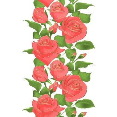 Vektör çiçek sınır. Gerçekçi gül, 3d çizim.